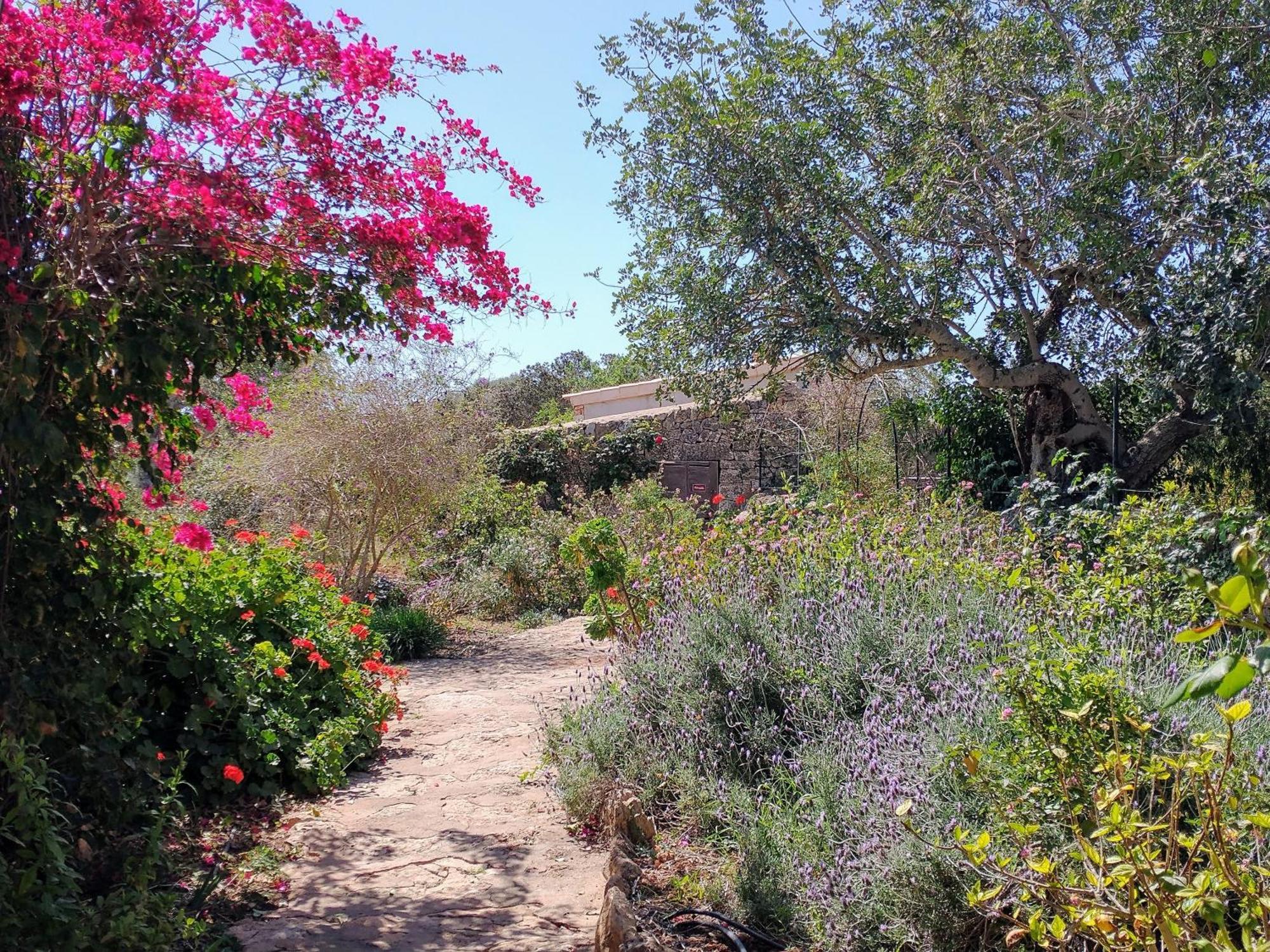 Finca Son Marimon (Adults Only) Santanyi Exterior photo