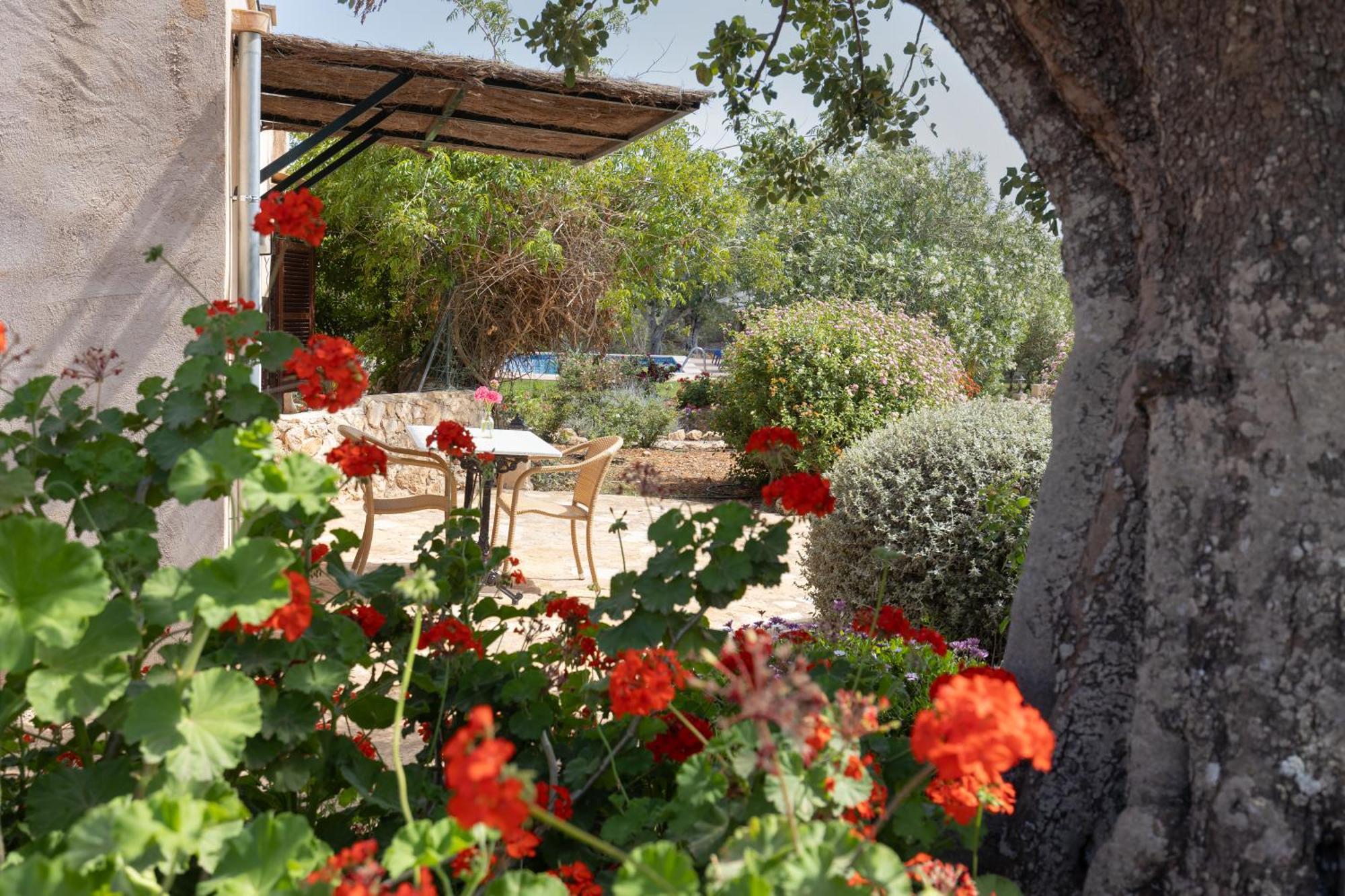Finca Son Marimon (Adults Only) Santanyi Exterior photo